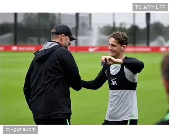 赫尔城MKM球场焕然一新，助力体育发展与社区活力