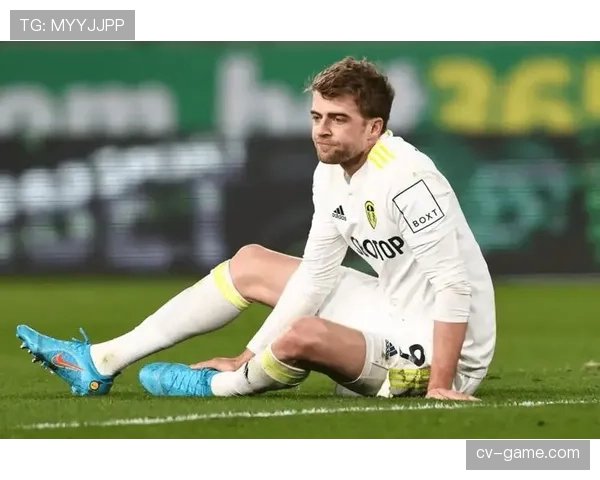 罗德里戈战术角色定位及其体系适配性分析 罗德里戈战术角色定位及其体系适配性分析