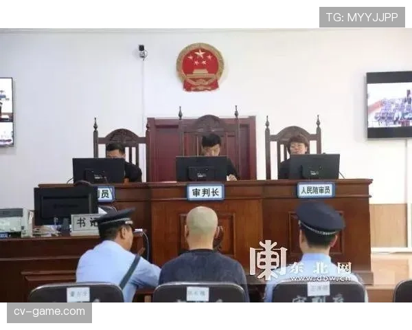 纪律委员会处罚和裁判判罚有什么区别？规则解读与适用场景分析